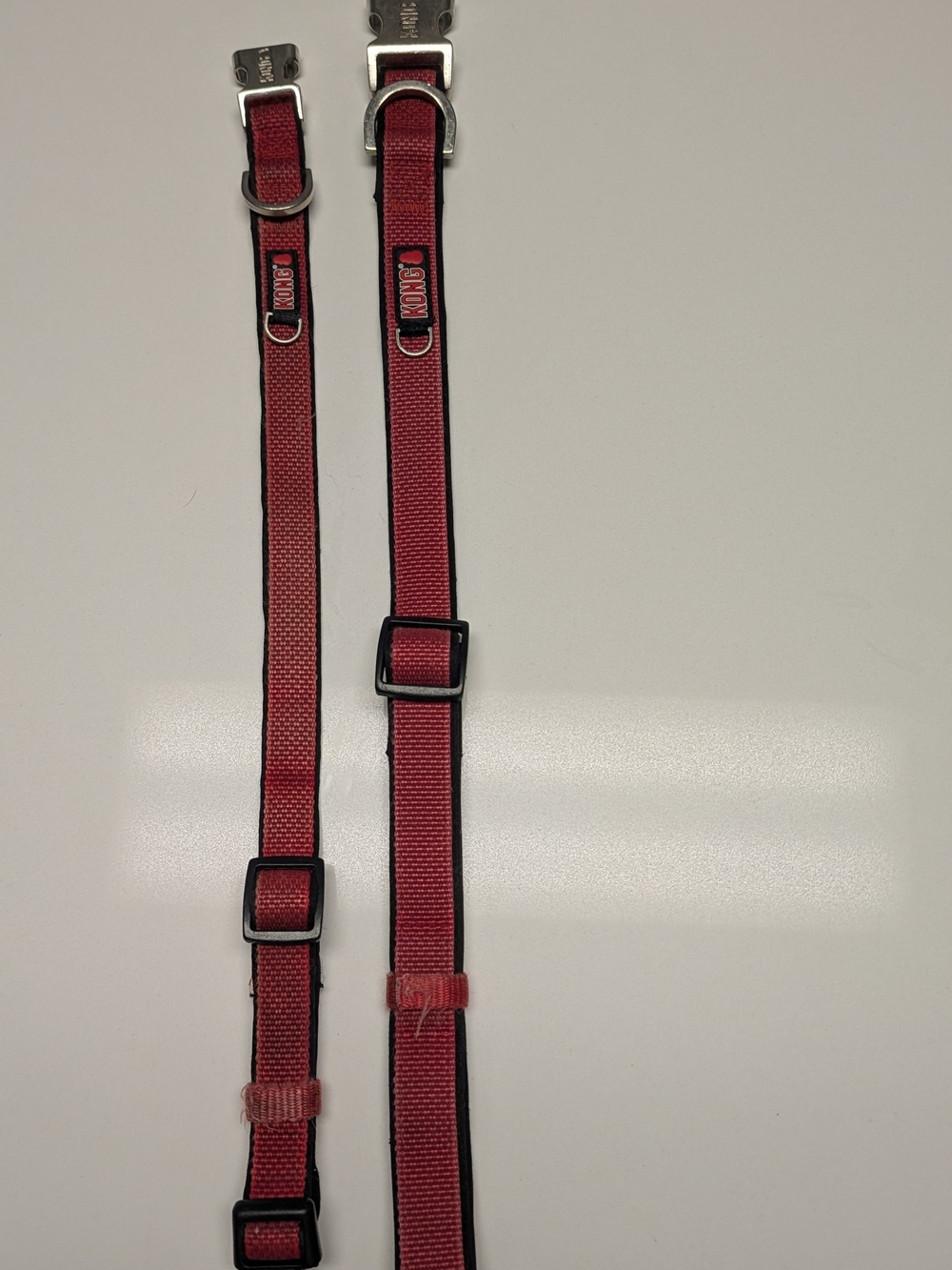 Kong Red Nylon Adjustable Dog Collars - Set of Two
